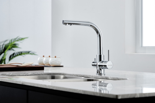 Смеситель для кухни Paulmark ESSEN Es213011-CR на раковину хром - фото 2